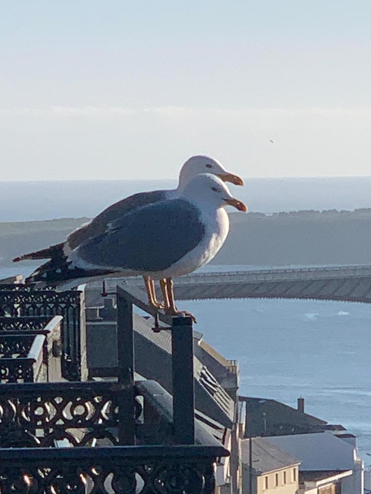 Moderno Piso Con La Mejor Terraza De Ribadeo Y Vistas Maravillosas Экстерьер фото